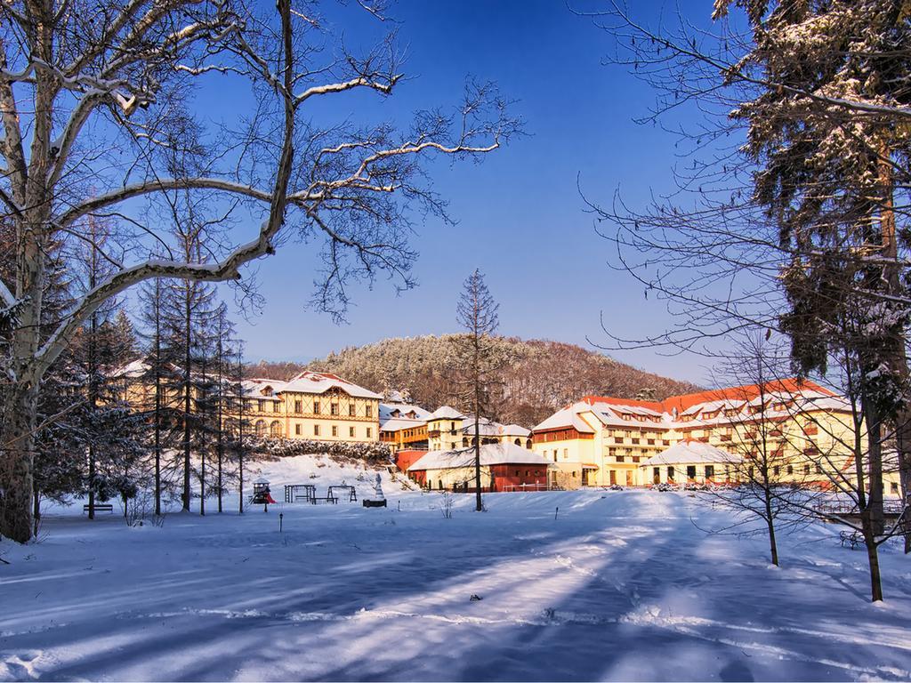 Erzsebet Park Hotel Parád Zewnętrze zdjęcie